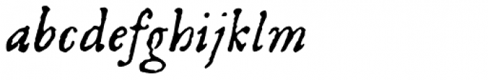 1584 Pragmatica Lima Italic