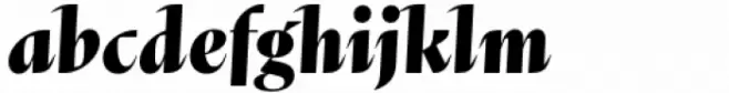 Abstract Black Italic