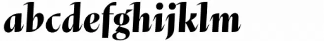 Abstract Bold Italic