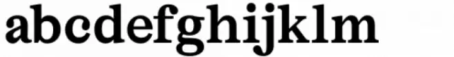 AC Honey Bee Serif Bold