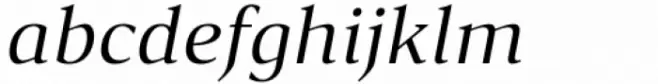 Accia Forte Italic