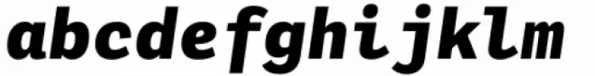 Adelle Mono Extrabold Italic