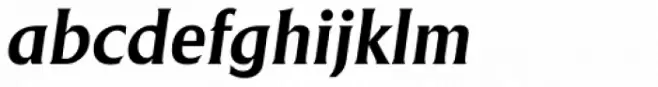 Adelon Serial Bold Italic