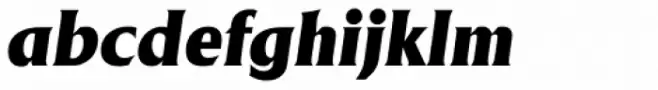 Adelon Serial Heavy Italic