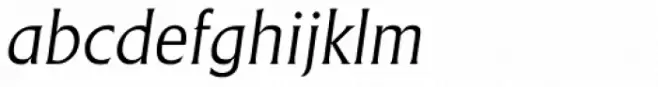 Adelon Serial Light Italic
