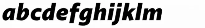 Agent Sans Black Italic