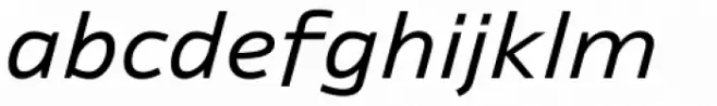 Ambiguity Generous Italic