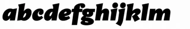 Amphibia Black Italic