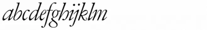 Amsterdamer Garamont P Italic