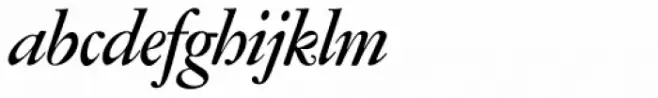 Amsterdamer Garamont P Medium Italic