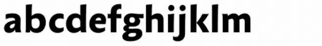 Anselm Sans Bold