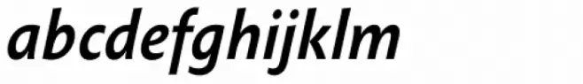 Anselm Sans Medium Italic