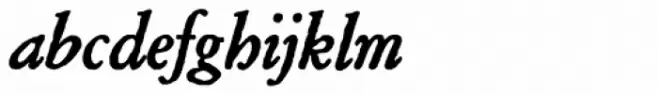 Archive Garamond Pro Bold Italic