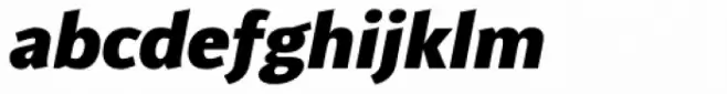 Aretha Black Italic