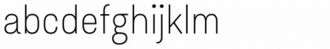 Asket Narrow Thin