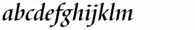 Barbedor EF Medium Italic