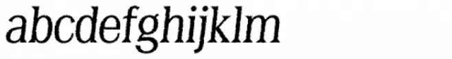 Bayside Tavern X Plain Light Italic