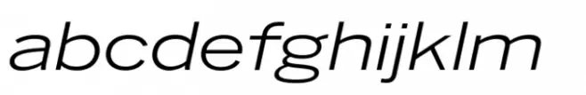 Benton Sans Std Wide Book Italic
