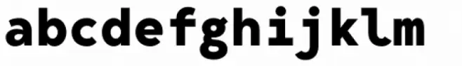 Bergen Mono Bold
