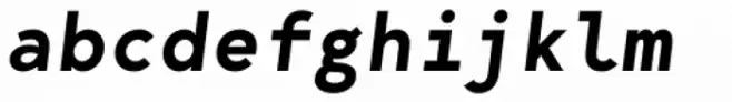 Bergen Mono Semi Bold Italic
