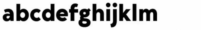 Bergen Text Bold