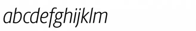 Berlingske Sans Condensed Std Light Italic