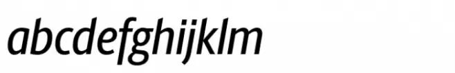 Berlingske Sans Condensed Std Medium Italic