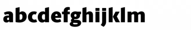 Berlingske Sans Std Black