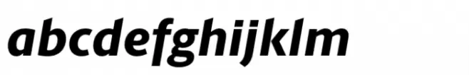 Berlingske Sans Std Extrabold Italic