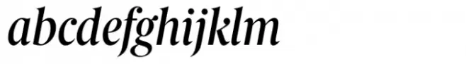 Berlingske Serif Condensed Std Medium Italic