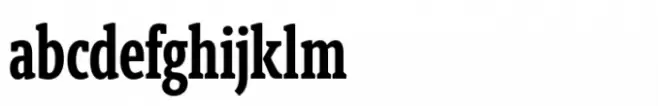 Berlingske Slab ExtraCondensed Std Demibold