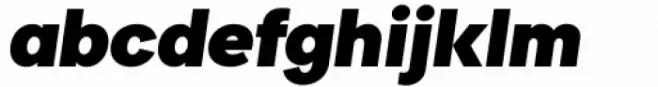 Biotic Black Italic
