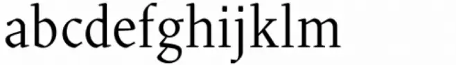 Blizka Regular