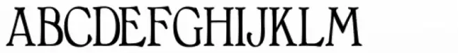 Bonaventure Condensed