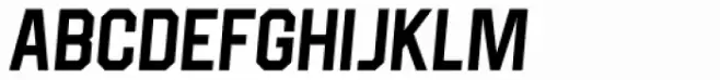 Born Strong Regular Italic