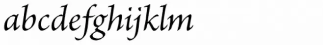 Brioso Pro Italic