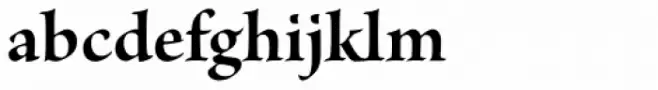 Brioso Pro SubHead Bold