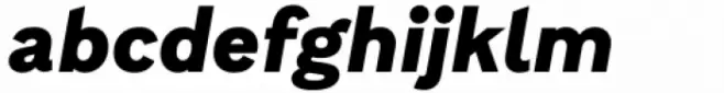 Brutalista Black Italic