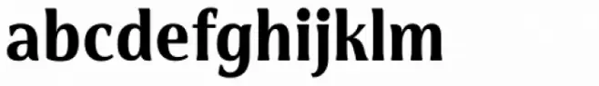Cabrito Flare Condensed Black