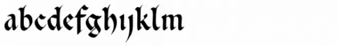 Cal Carolingian Gothic