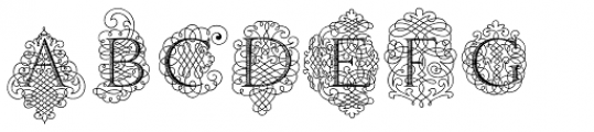 Calligraphia Latina Soft
