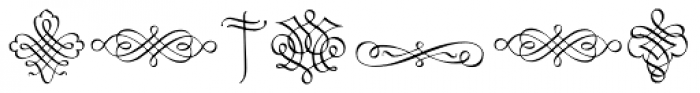Calligraphia Latina