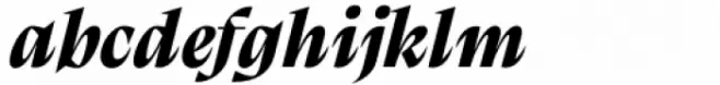 Calvino Grande Extrabold Italic