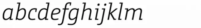 CamingoSlab Pro Light Italic