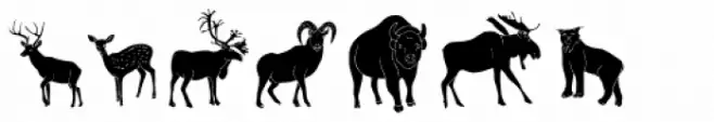 Canadian Animals
