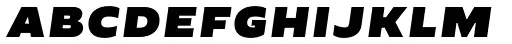 Cannon SC Black Italic