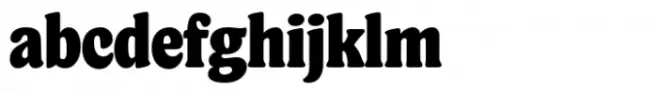 Cardin Serif