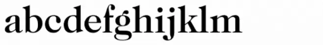 Caslon 224 Medium