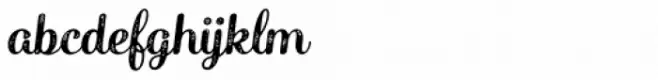 Catsy Printed Bold