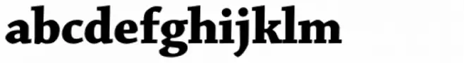 Chaparral Pro SubHead Bold